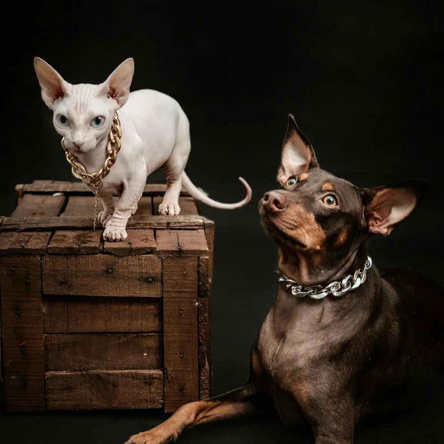 Pet Care