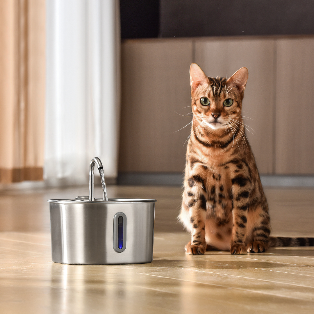 HydraPurr™ – 2.2L Stainless Steel Cat Water Fountain