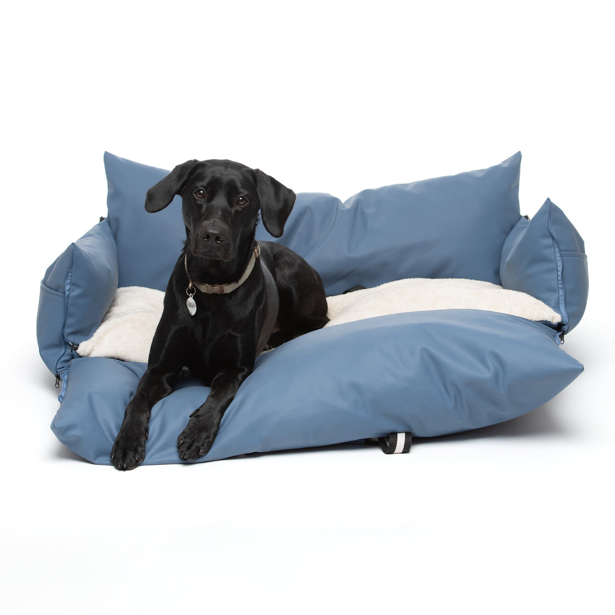Dockvanta™ – Durable Dog Dock with Latch Anchoring