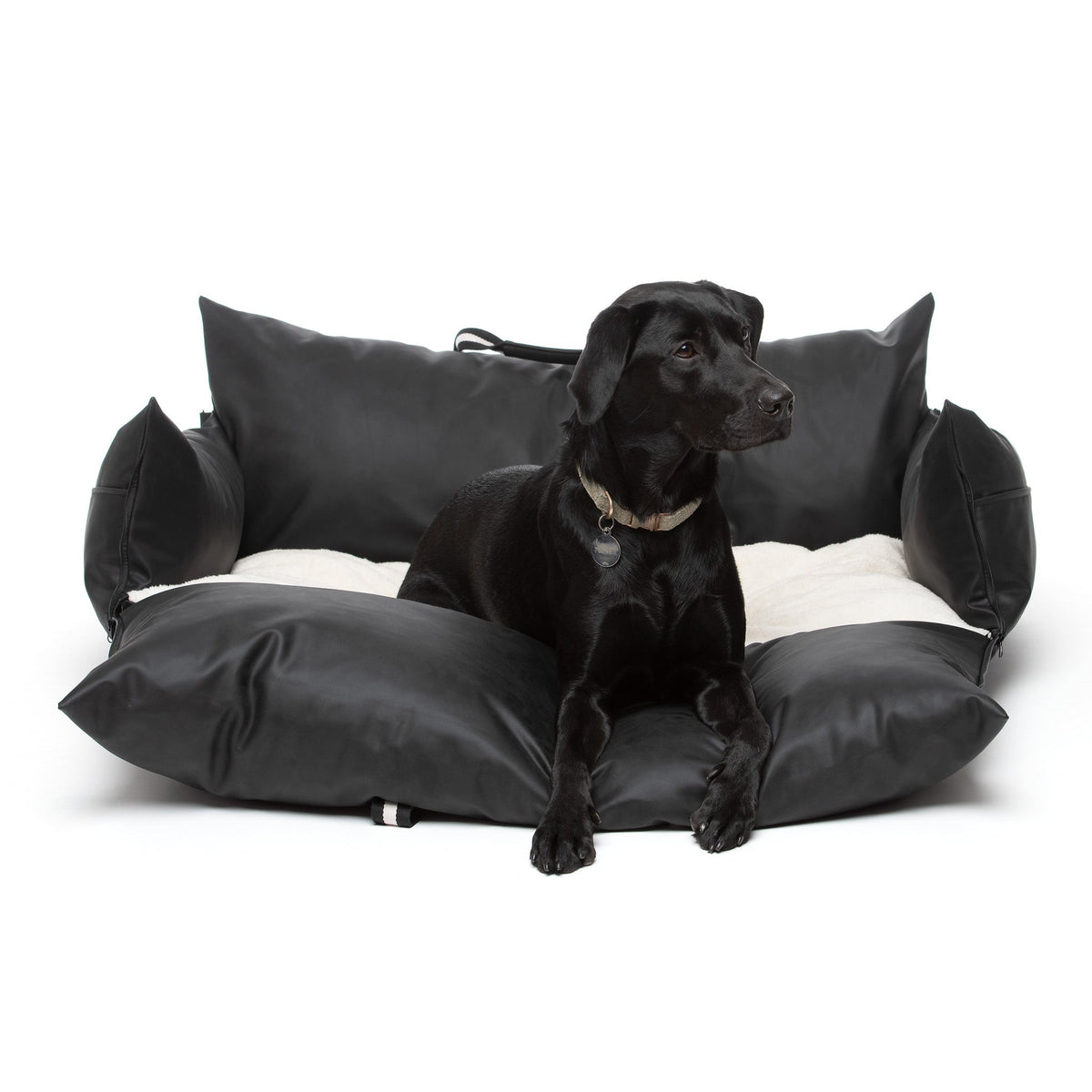 Dockvanta™ – Durable Dog Dock with Latch Anchoring