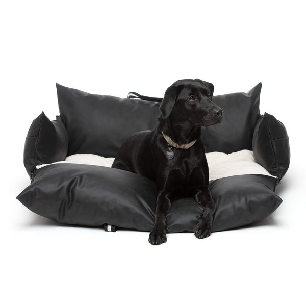 Dockvanta™ – Durable Dog Dock with Latch Anchoring
