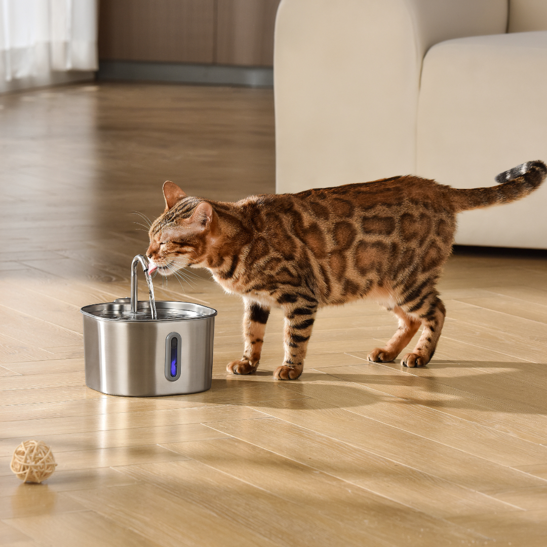 HydraPurr™ – 2.2L Stainless Steel Cat Water Fountain