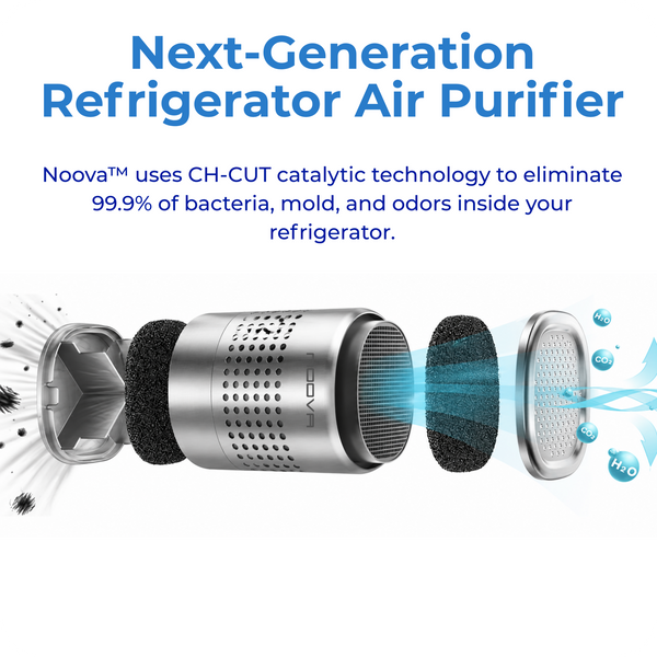 PureChill™ – Air Purifier for Refrigerator & Fresh Food Storage