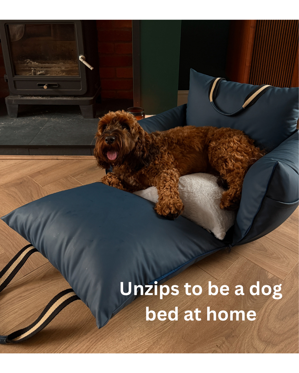 Dockvanta™ – Durable Dog Dock with Latch Anchoring
