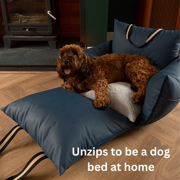 Dockvanta™ – Durable Dog Dock with Latch Anchoring