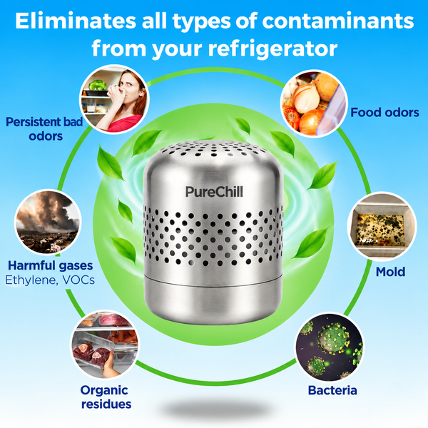 PureChill™ – Air Purifier for Refrigerator & Fresh Food Storage