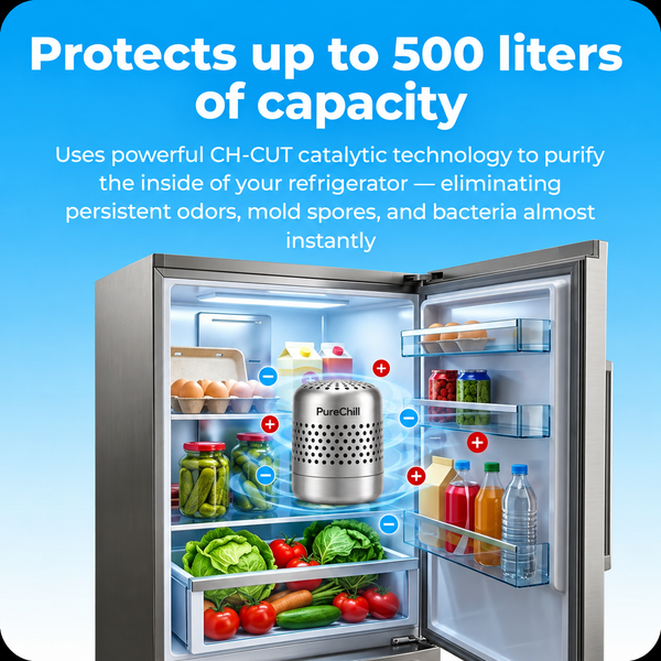 PureChill™ – Air Purifier for Refrigerator & Fresh Food Storage